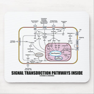 Signaltransductions-Bahn-Innere (Zellbiologie) Mousepad