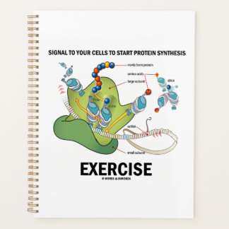 Signalzellen zum Starten der Proteinsynthese Planer