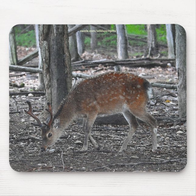 Sika Deer Buck Animal Wildlife Foto Mousepad (Vorne)