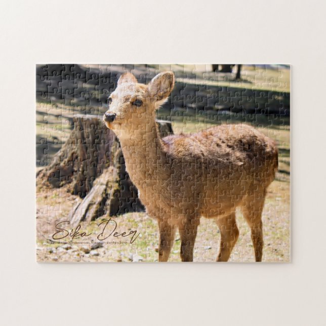 Sika Deer in Nara Park Puzzle (Horizontal)