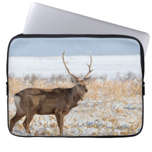 Sika-Hirsch auf einem schneebedeckten Feld Japan Laptopschutzhülle