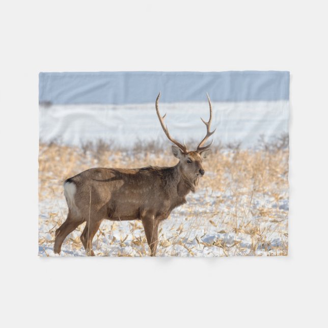 Sika Stag auf einem schneebedeckten Feld | Japan Fleecedecke (Vorderseite (Horizontal))