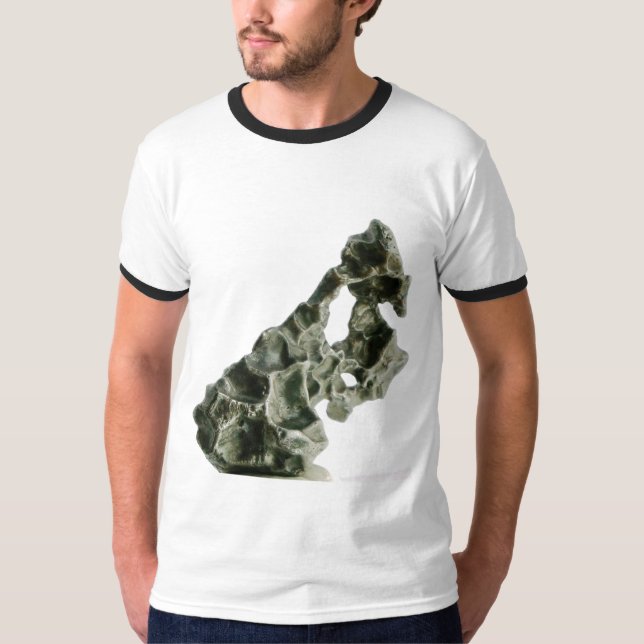Sikhote-Alin Meteorit T-Shirt (Vorderseite)
