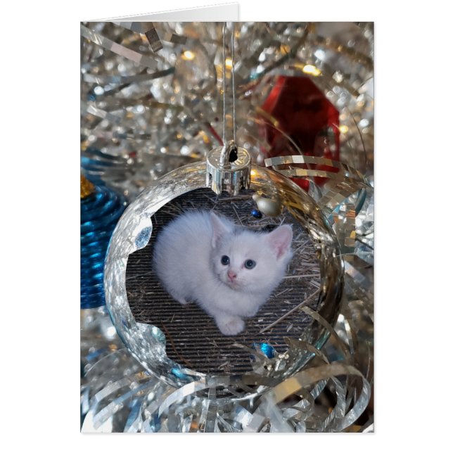 Silber Bulb Full Frame (Vorne)