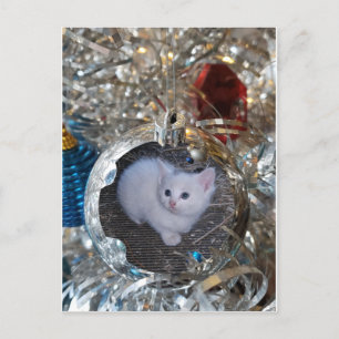 Silber Bulb Full Frame Postkarte