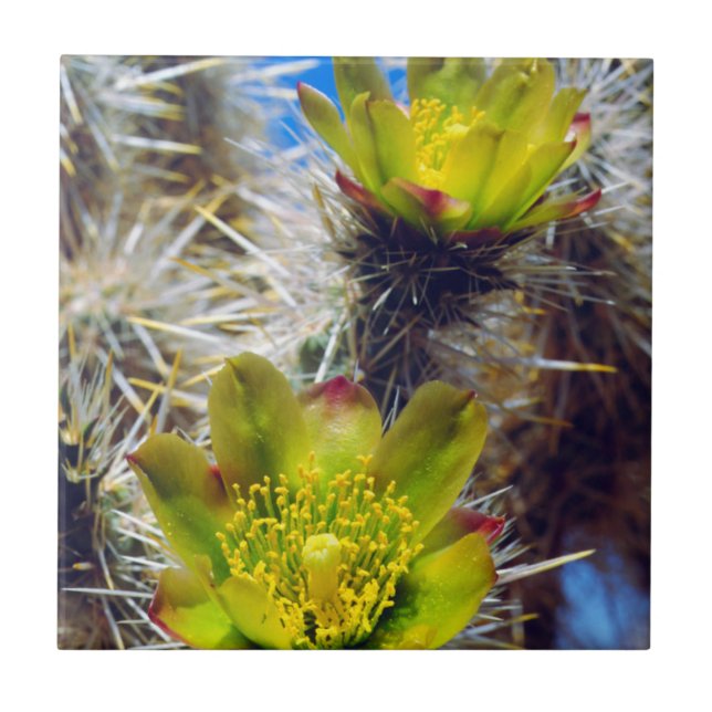 Silber Cholla Kaktus Wildblumen Fliese (Vorderseite)
