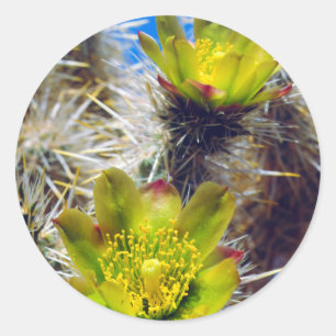 Silber Cholla Kaktus Wildblumen Runder Aufkleber