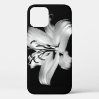 Silber Lily: einfarbige Blumen-Eleganz.