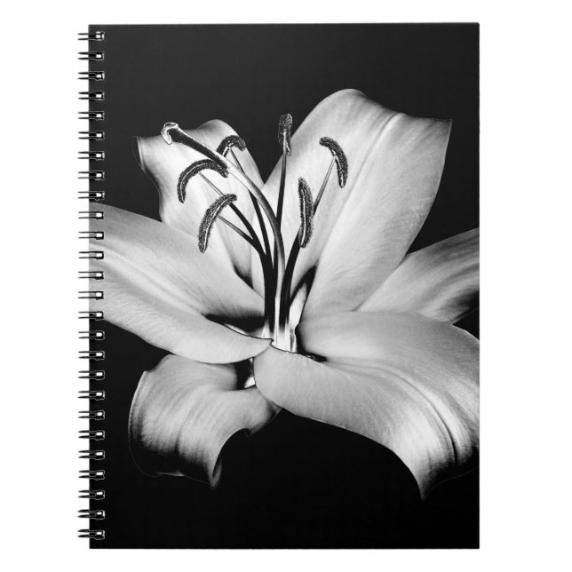 Silber Lily: einfarbige Blumen-Eleganz. Notizblock (Vorderseite)
