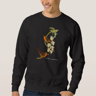 Silber-ohriges Mesia (Leiothrix argentauris) Sweatshirt