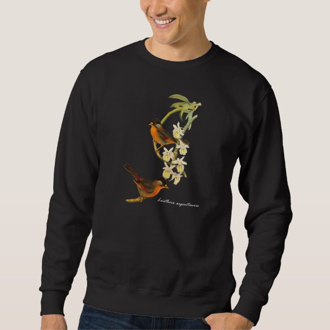 Silber-ohriges Mesia (Leiothrix argentauris) Sweatshirt (Vorderseite)