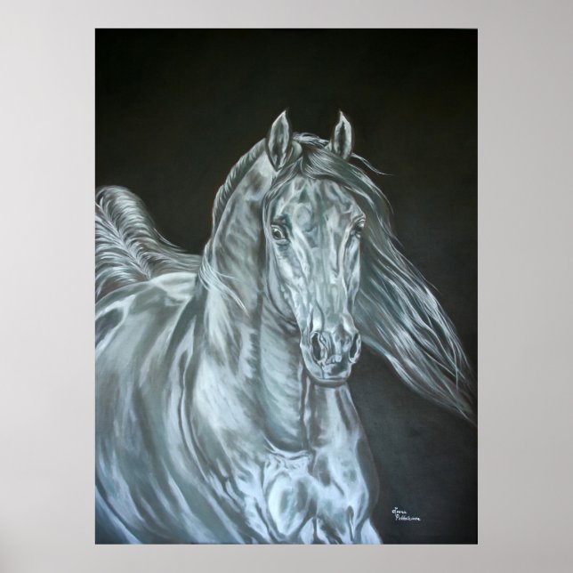 Silber Poster (Vorne)