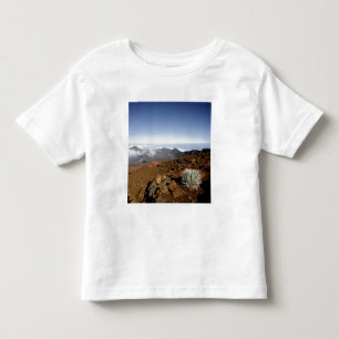 Silber-Schwertlilie am Rand des Haleakala-Kraters Kleinkind T-shirt