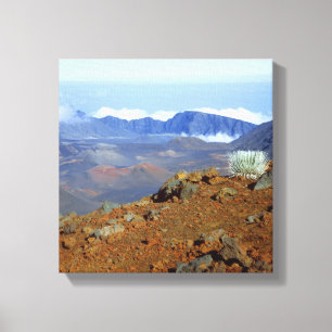 Silber-Schwertlilie am Rand des Haleakala-Kraters Leinwanddruck