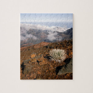Silber-Schwertlilie am Rand des Haleakala-Kraters  Puzzle