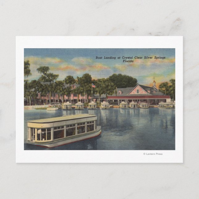 Silber Springs, FL - Wasserfront Sicht auf das Sch Postkarte (Vorderseite)