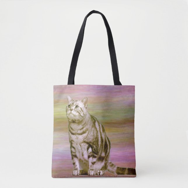 Silber-Tabby-Katze (Vorderseite)
