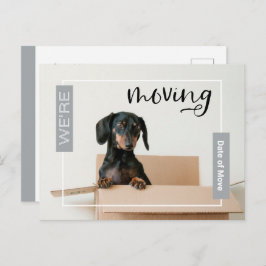 Silber Wir bewegen Dackel Hund in Box Postcard Postkarte