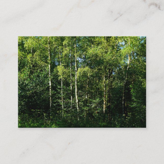 Silberbänke, Mini-Foto Visitenkarte (Vorderseite)