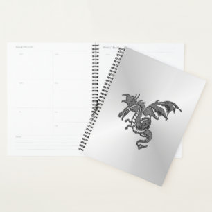Silberdrache Planer
