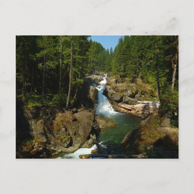 Silberfälle am Monte Rainier Nationalpark Postkarte (Vorderseite)