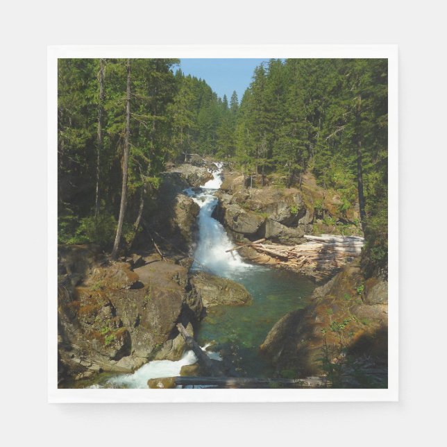 Silberfälle im Mount Rainier National Park Serviette (Vorderseite)