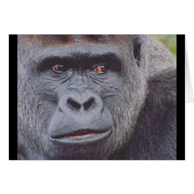 silberfarben (Vorderseite (Horizontal))