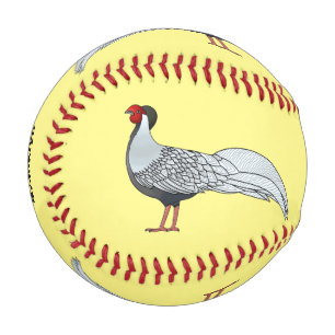 Silberfasan-Vogel-Cartoon-Illustration  Baseball