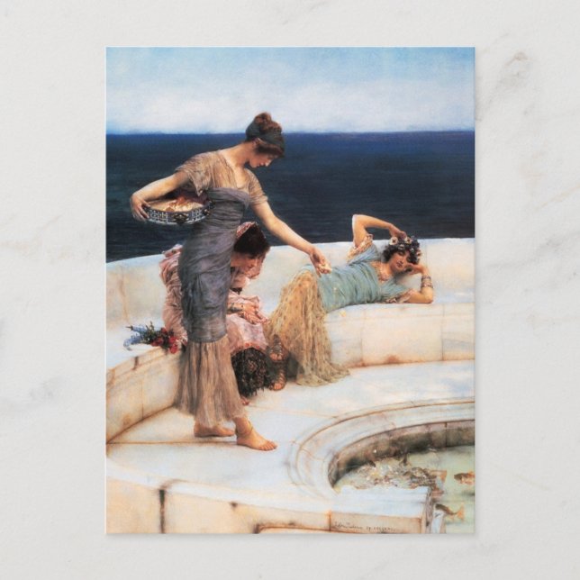 Silberfavoriten Postkarte (Vorderseite)