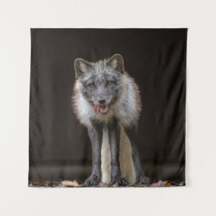 Silberfuchs fesseln wandteppich