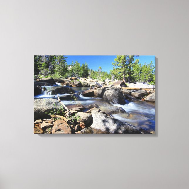 Silbergabel des American River, Leinwand (Vorderseite)