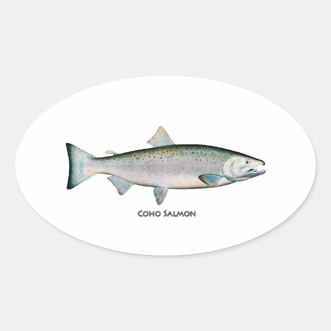 Silberlachs (Meeresphase) Runder Aufkleber (Vorderseite)