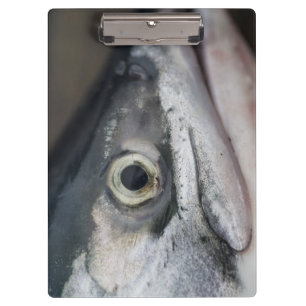 Silberlachsgesicht Klemmbrett