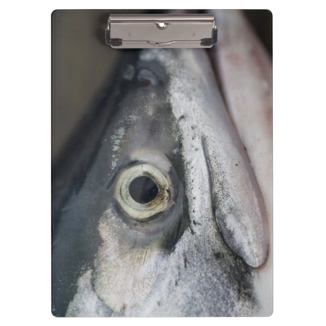 Silberlachsgesicht Klemmbrett (Vorderseite)