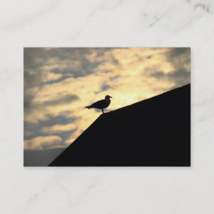 Silbermöwe Sonnenuntergang Visitenkarte