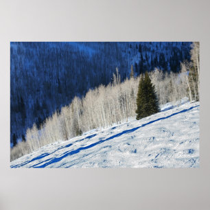 Silberne Bäume Poster