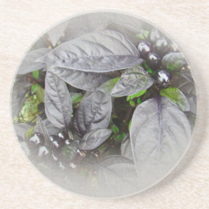 Silberne Blätter und Beeren Sandstein Untersetzer