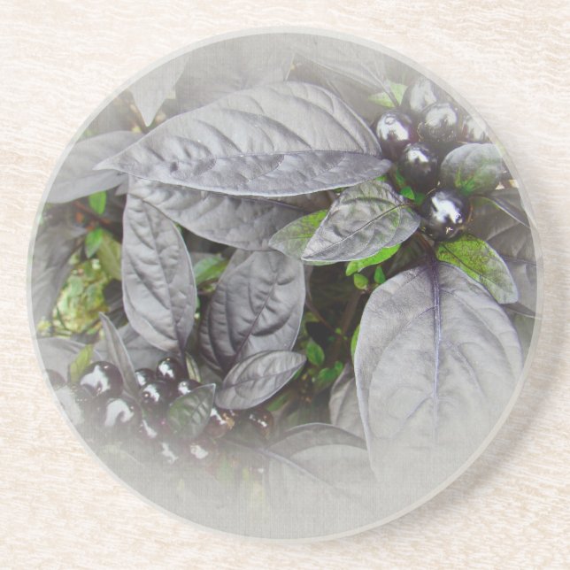 Silberne Blätter und Beeren Sandstein Untersetzer (Vorne)