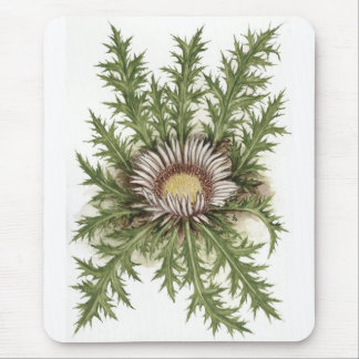Silberne Distel-Sammlung Mousepad