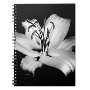 Silberne Lilie: Monochrome Floral Eleganz. Notizblock