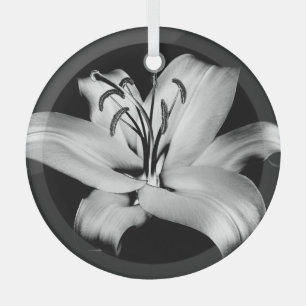 Silberne Lilie: Monochrome Floral Eleganz. Ornament Aus Glas