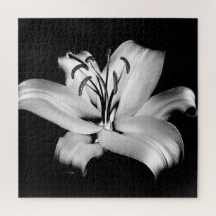 Silberne Lilie: Monochrome Floral Eleganz. Puzzle