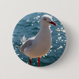 Silberne Möve Button