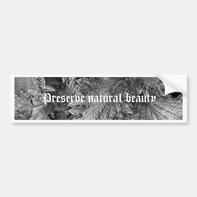 Silberne Schönheit Autoaufkleber (Vorne)