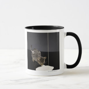 Silberne trinkende Creme der Tabbykatze vom Boden Tasse
