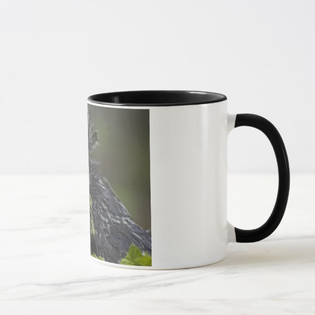 Silberner polnischer Hahn Tasse (Rechts)