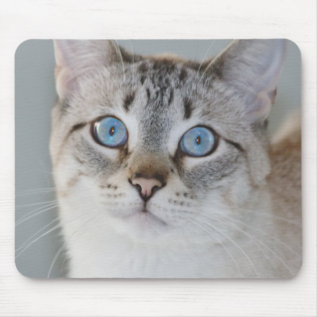 Silberner Tabby-siamesische Mausunterlage Mousepad (Vorne)