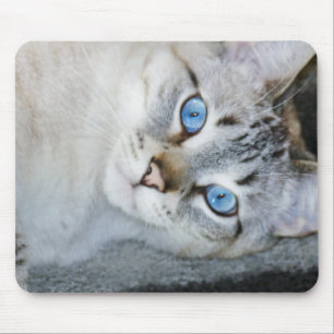 Silberner Tabby-siamesische Mausunterlage Mousepad