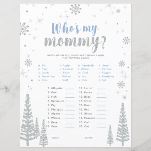 Silbernes und blaues Winter-Wunderland-Baby-Shower