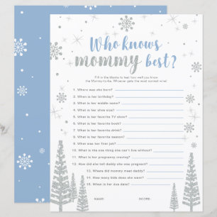 Silbernes und blaues Winter-Wunderland-Baby-Shower